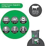 Премікс для свиней Гровер-Фініш 30-115 кг AVA PRO MIX PG/PF 3/2,5%. Фасовка 25 кг, фото 5