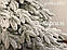 Засніжена лита ялинка Версаль в снігу 1.8 м, фото 5