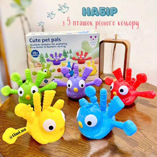 Сортер пташки «Кольорові розваги» BB2004 набір із 5 пташок, фото 1