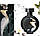 Парфумерія унісекс Haute Fragrance Company Devil`s Intrigue 75 мл, фото 3