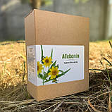 Секрет мого лікування від алергії...Allebonin (Аллебонін) - краплі від алергії, фото 4