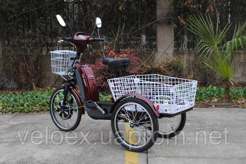 Триколісний електровелосипед VEGA Big Happy - фото 6 - id-p272587169