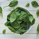 Шпинат Рембрандт F1 2г / Bejo Zaden, фото 2