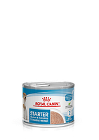 Влажный корм Royal Canin Starter Mousse для щенков и сук всех пород 195 г