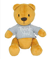 Мягкая игрушка Мишка "Дэнни" thank you Tigres ВЕ-0207, 25см, Land of Toys