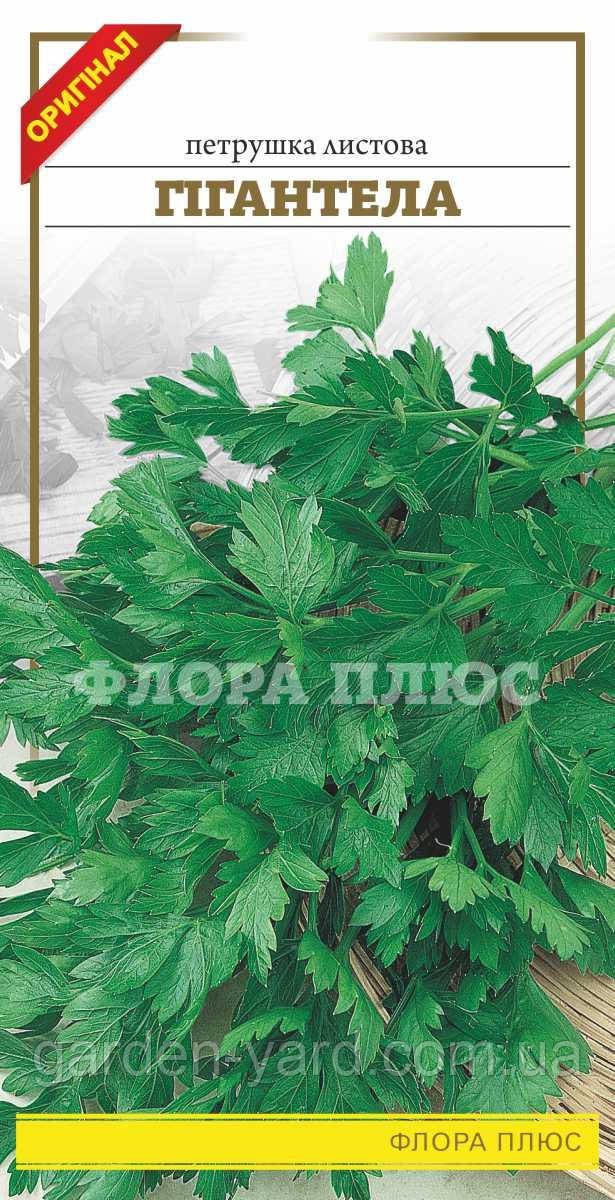 Насіння петрушка листова Гігантелла 3г. Флора плюс