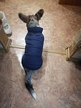 Зимова жилетка універсальна тепла для собак, фото 6
