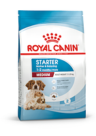 Сухой корм Royal Canin Starter Mother & Babydog Medium для щенков средних пород 1 кг