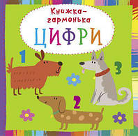 Книжка-гармошка "Цифры" (укр)