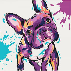 Картина за номерами Ідейка тварини, птахи "Заповнений малюк" 40x40 см KHO4009, Toyman