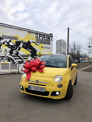 Бант на машину "ПРЕМІУМ", фото 3