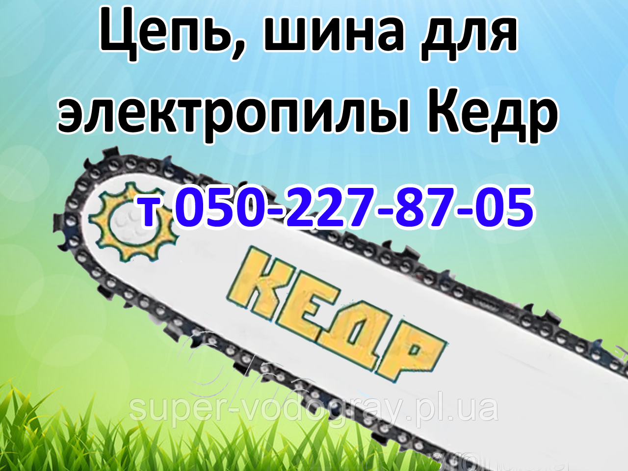 Ланцюг, шина для електропили Кедр, фото 1