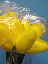 Тюльпан штучний 1шт. Колір Жовтий, фото 6