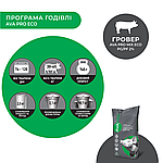 Премікс для свиней Гровер/Фініш от 30-110 кг AVA PRO MIX ECO 2%. Фасовка 25 кг, фото 4