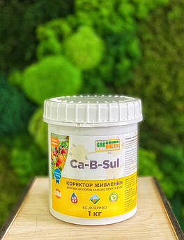 Грогрин Гель Ca-B-Sul 1 кг (GroGreen) УВАГА ТЕРМІН ПРИДАТНОСТІ 04.2024