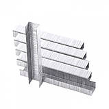 Скобі для меблевого степлера 8 мм, тип 53, 1000 шт, SPARTA, фото 3