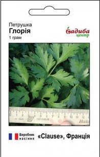 Насіння петрушки Глорія, середньостиглий 1 г, Clause, Франція