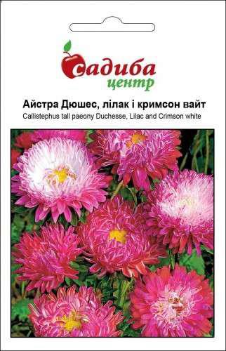 Насіння квітів Астра "Дюшес" лилак і крімсон вайт, однорічна, 5 м, "Хем Заден", Нідерланди.