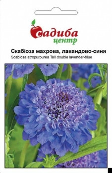 Насіння Скабіоза махрова лавандово-синя 0,2 г, Hem Zaden