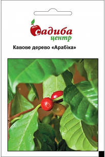 Насіння кавове дерево Арабіка 1 г, Hem Zaden