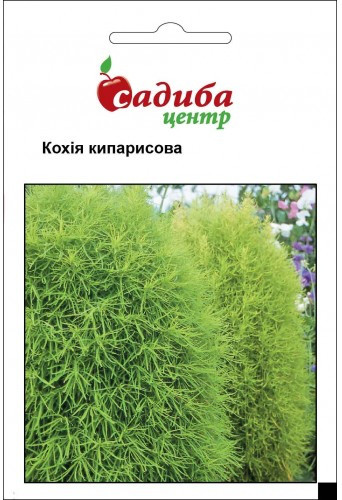 Насіння квітів кохіі кипарисовій, 0,5 м, "Садиба-Центр", Україна