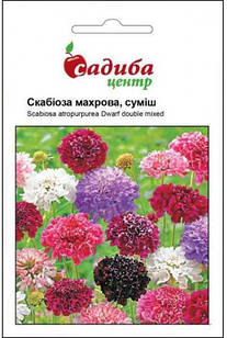 Насіння квітів скабіоза махрова суміш, 0,3 г, "Садиба-центр", Україна