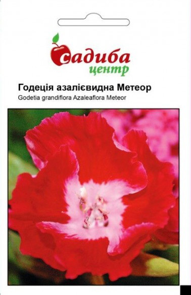 Насіння квітів Годеция азалиевидная Метеор, однорічна, 0,2 г, "Бадваси ", Україна