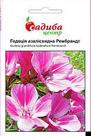 Семена цветов Годеция азалиевидная Рембрандт, однолетнее, 0,2 г, "Бадваси", Украина