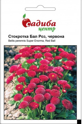 Насіння квітів Стокротка "Бал Троянд червона", 0,1 г, "Бадваси", Україна