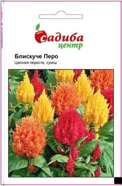 Насіння квітів целозія Блискуче Перо, 0,02 г, "Садиба-центр", Україна