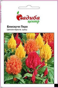 Насіння квітів целозія Блискуче Перо, 0,02 г, "Садиба-центр", Україна
