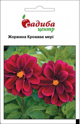 Насіння Жоржина Кривава Мері 0,1 г, Hem Zaden