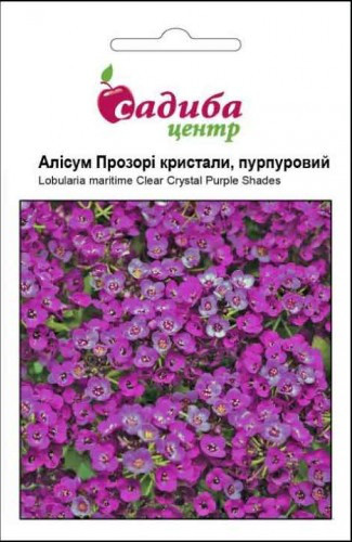 Насіння квітів Аліссум Прозрочные кристали, пурпурні, 50шт, Садиба