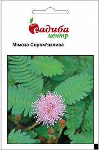 Насіння Мімоза Сором'язлива 0,2 г, Hem Zaden