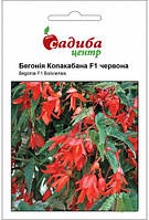 Семена бегонии Копакабана F1 красная,5 шт,"Садиба Центр", Украина