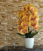 Латексна Орхідея, декор.,.
