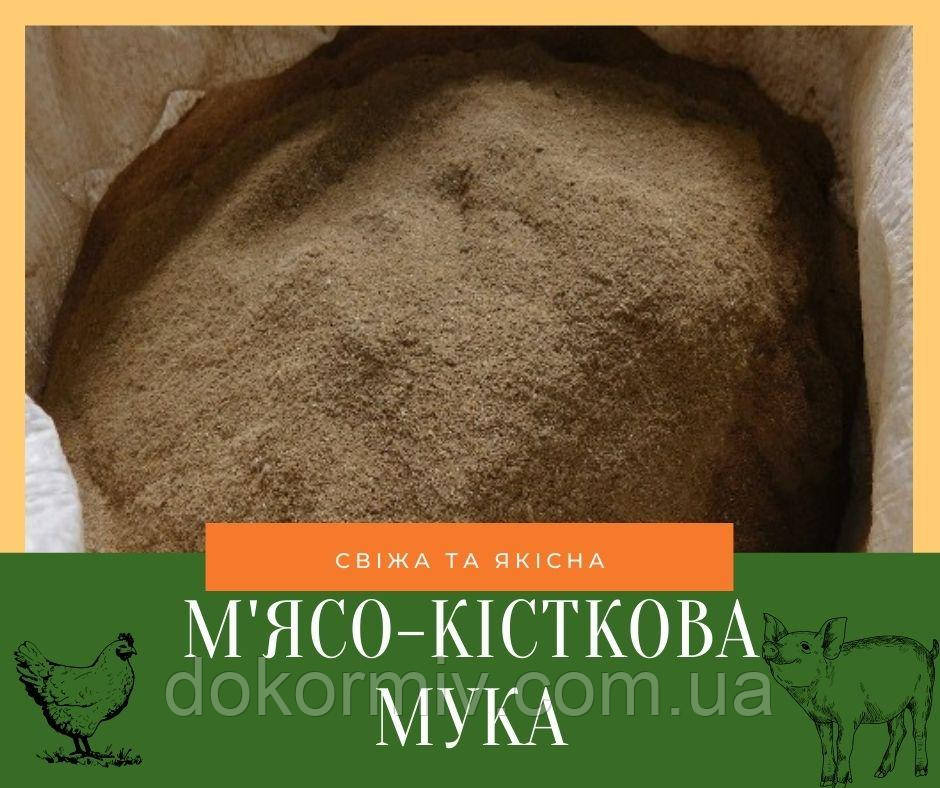 М'ясо-кісткове борошно 54-56% протеїну