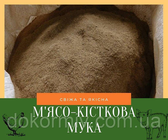 М'ясо-кісткове борошно 54-56% протеїну, фото 2