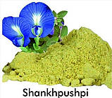 Шанкпушпи (Shankhpushpi). Антистресс. Допомагає заспокоїти мозок, зняти стрес, поліпшити пам'ять. Строк до 03/2026, фото 2