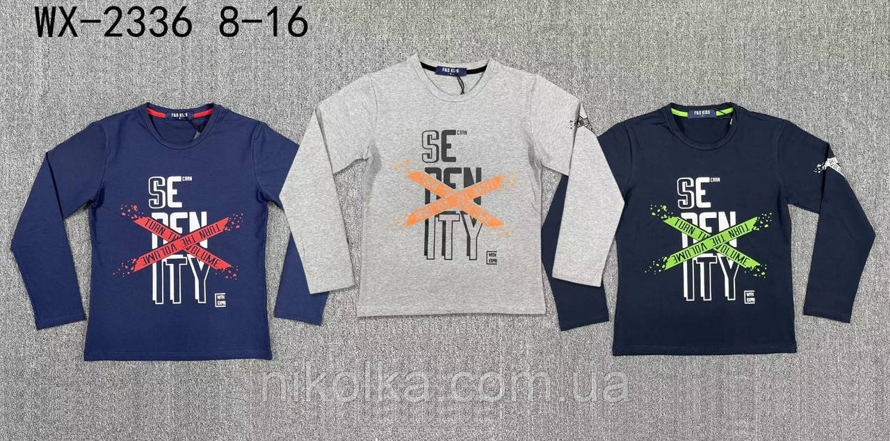Реглан для хлопчика оптом, F&D, 8-16 років, Арт. WX-2336, фото 1