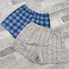 Труси-шорти трикотажні СИЛАЧ дитячі р.36 ассорті 30034790, фото 2