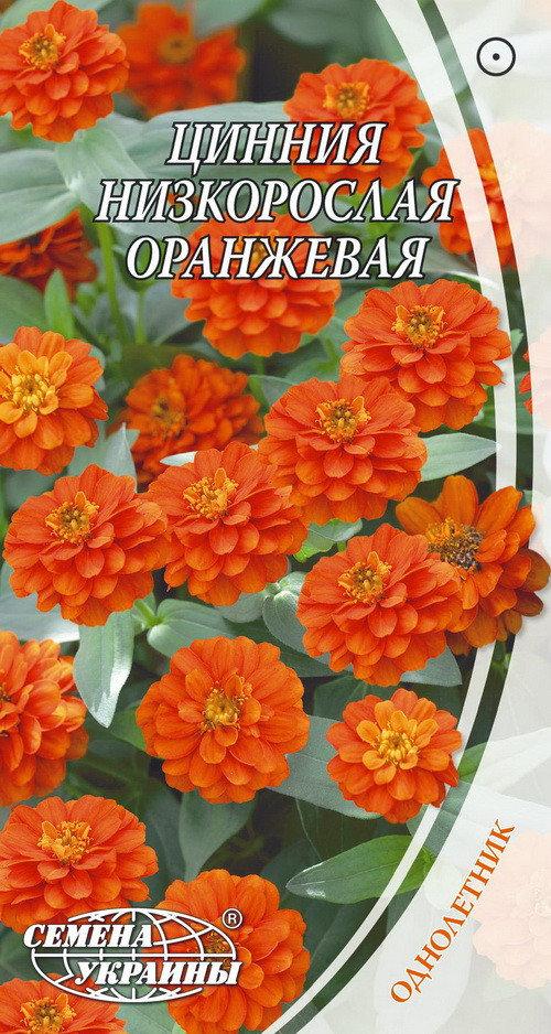 Насіння Цинія (Майори) низькоросла помаранчева 0,5 г, Насіння України