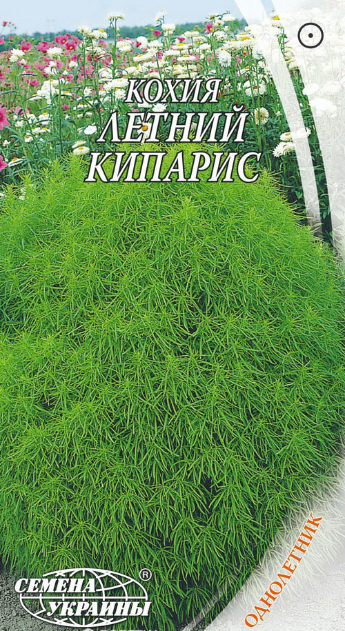 Насіння Кохия Літній кипарис 0,5 г, Насіння України