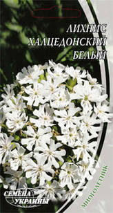 Насіння квітів Лихнис «Халцедонский білий» 0,3 г Насіння України