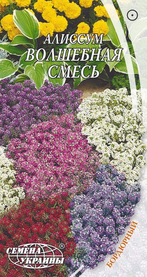 Насіння квітів Аліссум (Лобулярія) "Чарівна суміш", однорічна, 0,2 г, "Насіння України", Україна