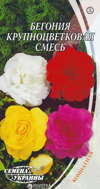 Насіння Бегонія суміш Крупноквіткова 10 шт, Насіння України