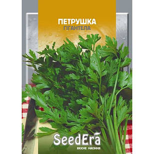 Насіння петрушки Гигантелла 20 г, Seedera