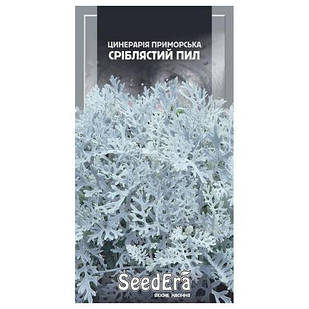 Насіння Цинерарії срібляста пил 0,1 г, Seedera