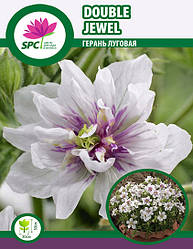Герань лугова Double Jewel