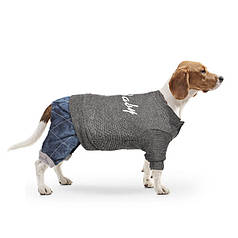 Костюм Pipitao Dogbaby Dark Grey розмір S одяг для собак